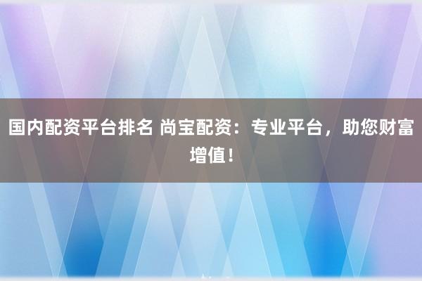 国内配资平台排名 尚宝配资：专业平台，助您财富增值！