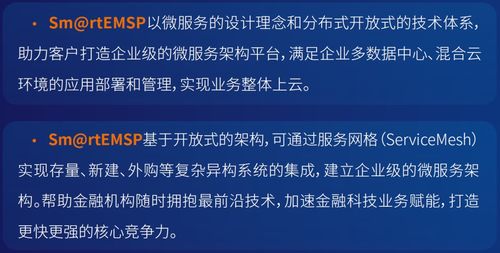 神州信息金融科技产品系列丨金融信创 神州信息企业级微服务平台sm rtemsp